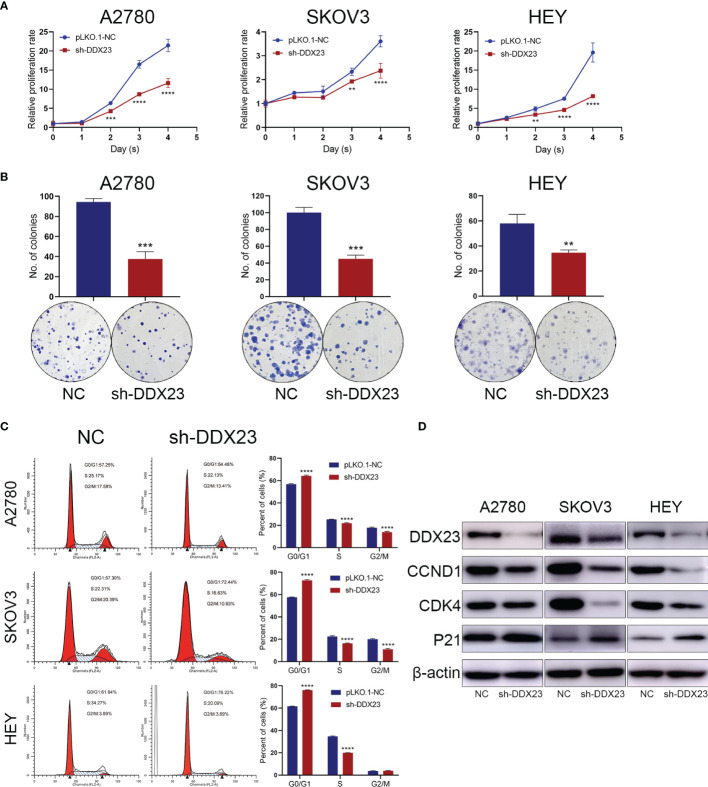 Figure 2