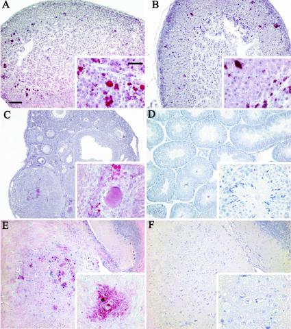 FIG. 5.