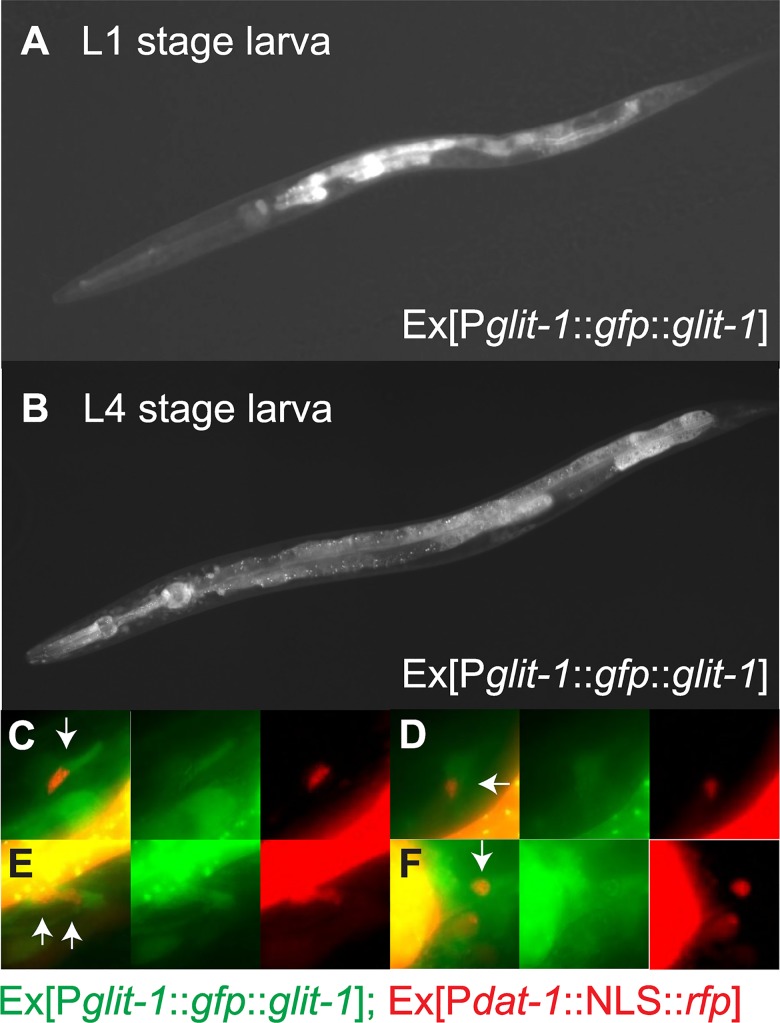 Fig 2