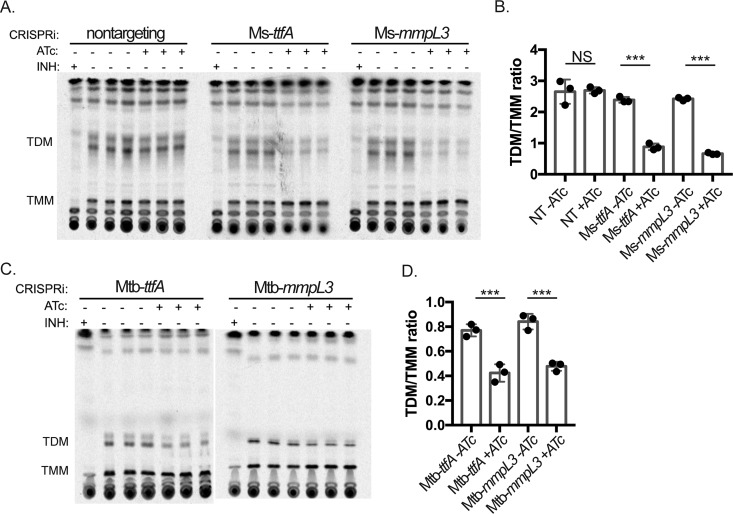 FIG 6