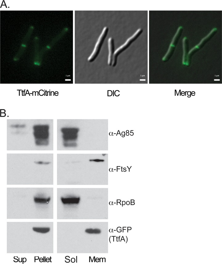 FIG 3