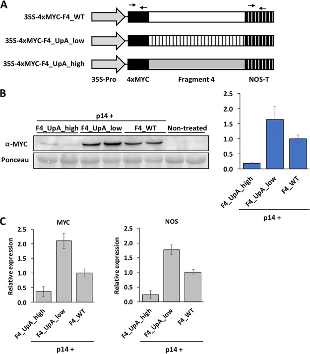 FIG 6