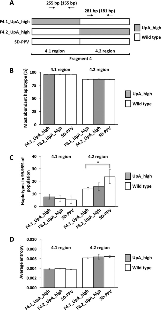 FIG 4