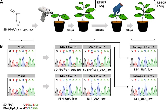 FIG 3