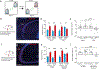 Figure 5: