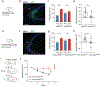 Figure 6: