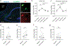 Figure 7: