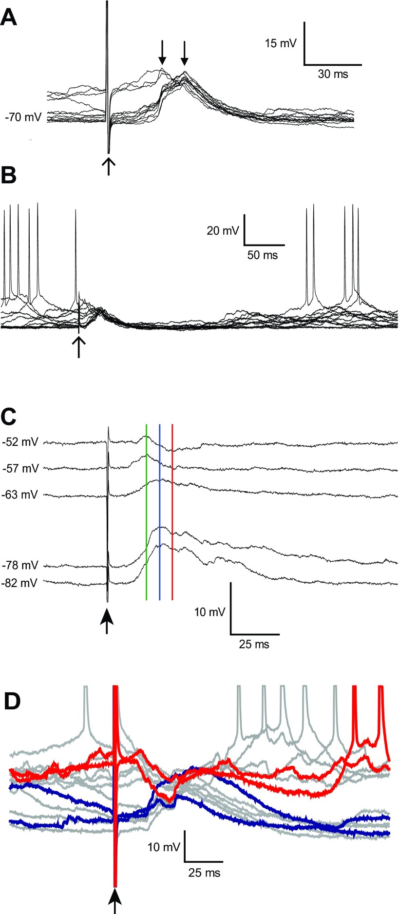 Fig. 5.