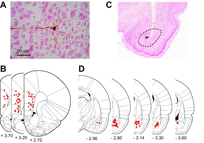 Fig. 3.