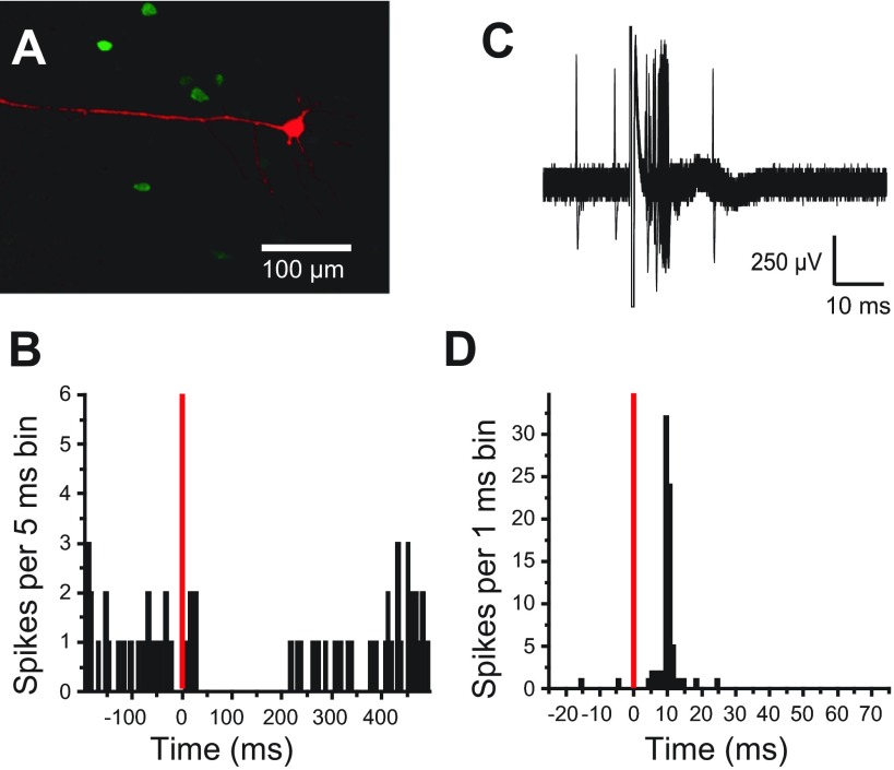 Fig. 1.