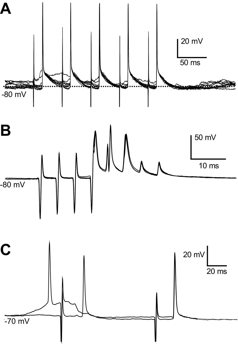 Fig. 7.