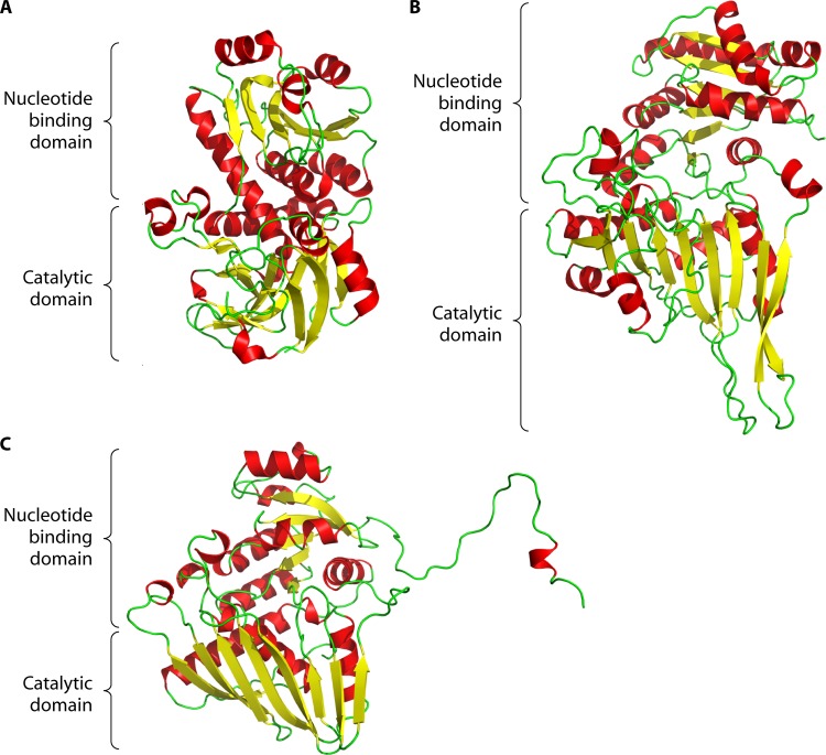 FIG 13