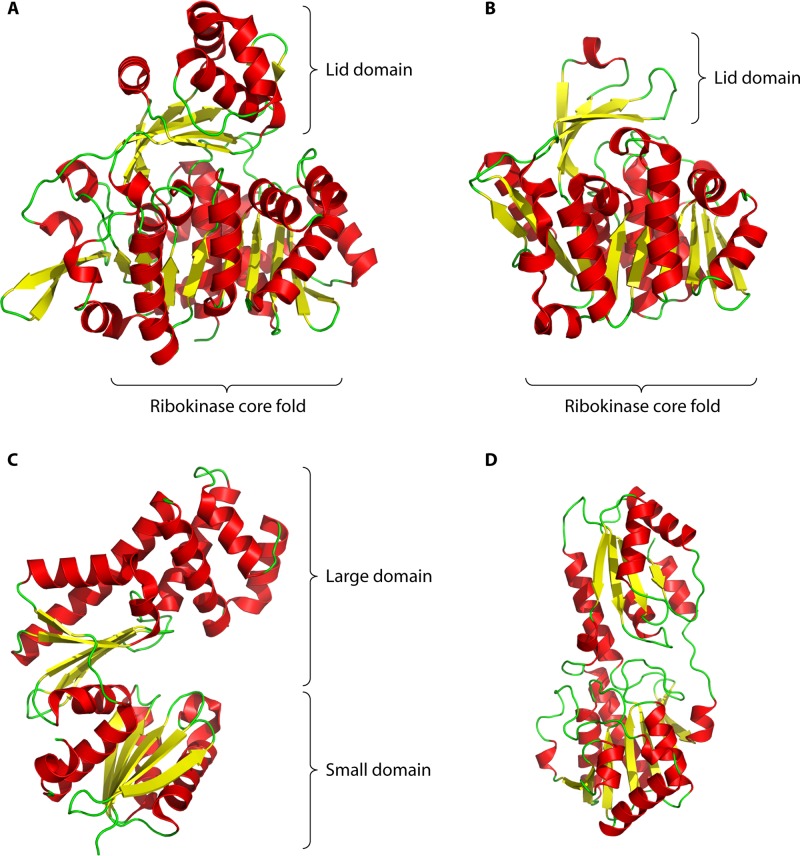 FIG 2