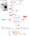 FIG 20