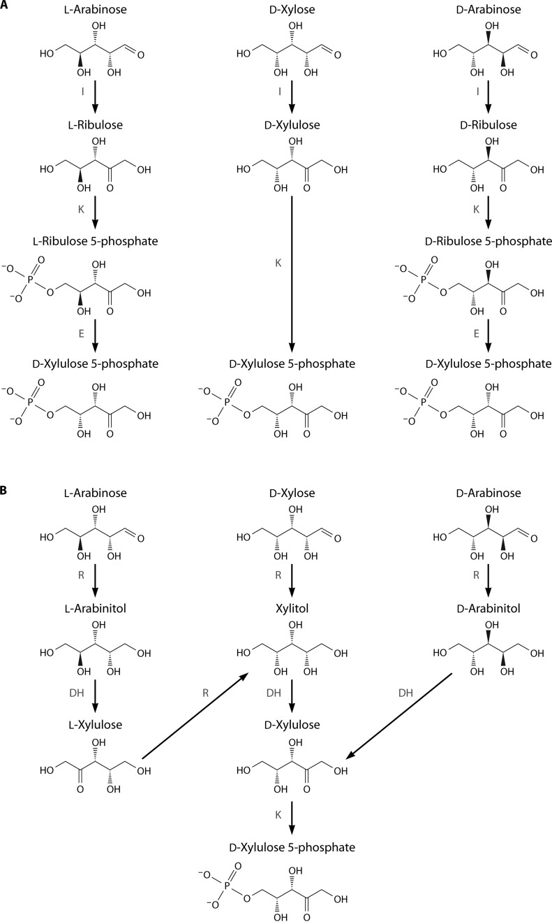 FIG 15