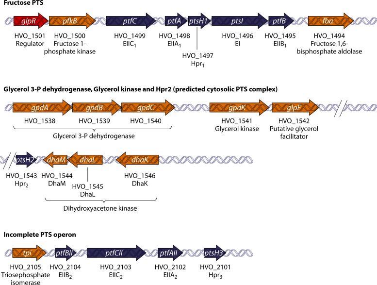 FIG 28