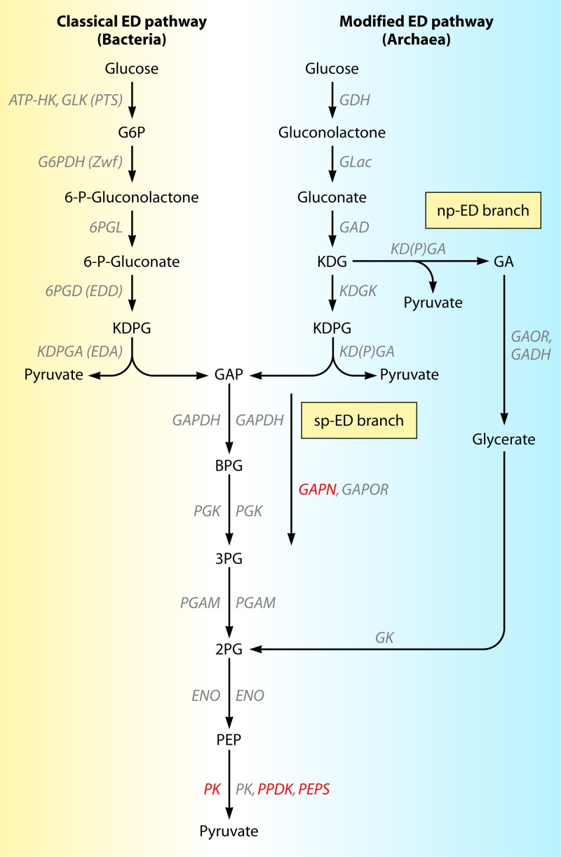 FIG 12