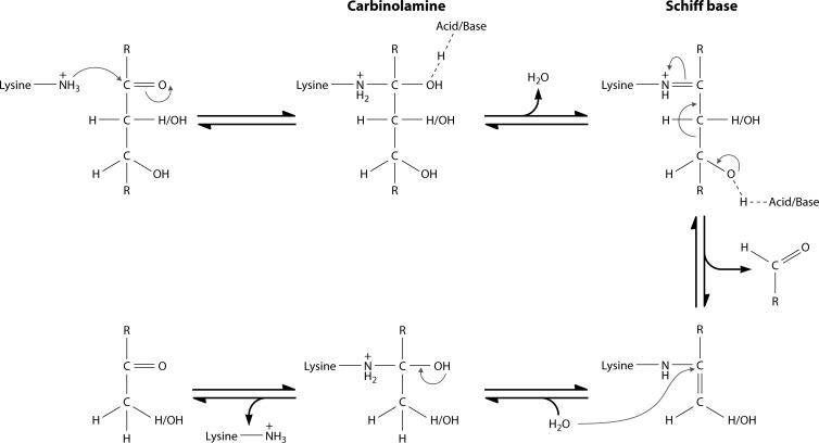 FIG 7