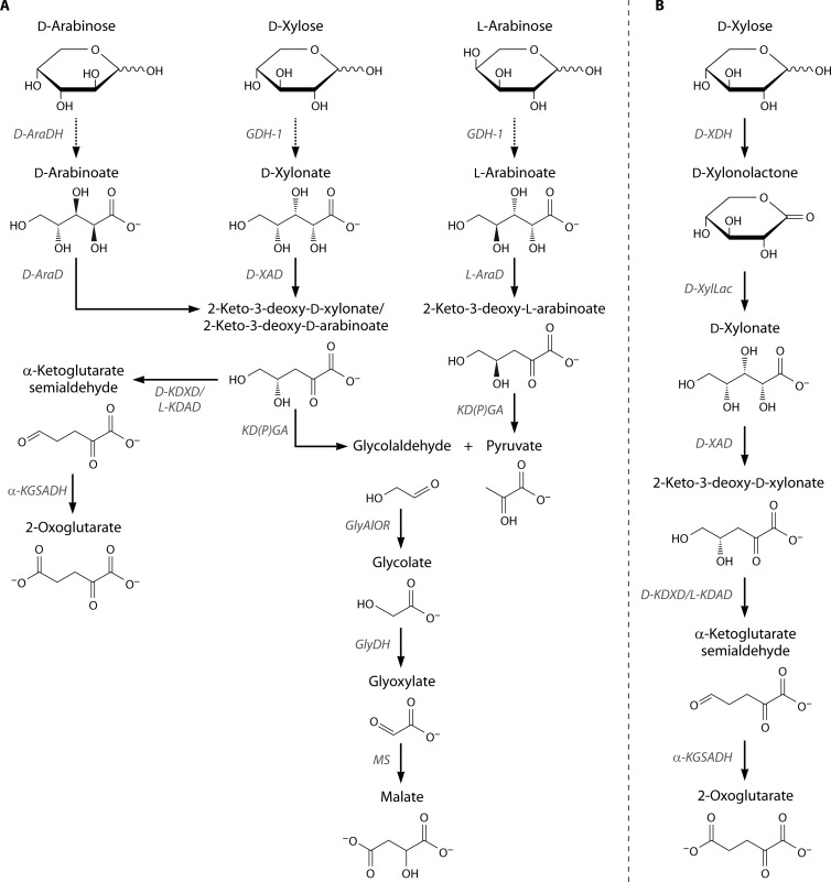 FIG 16