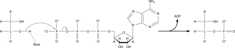 FIG 3