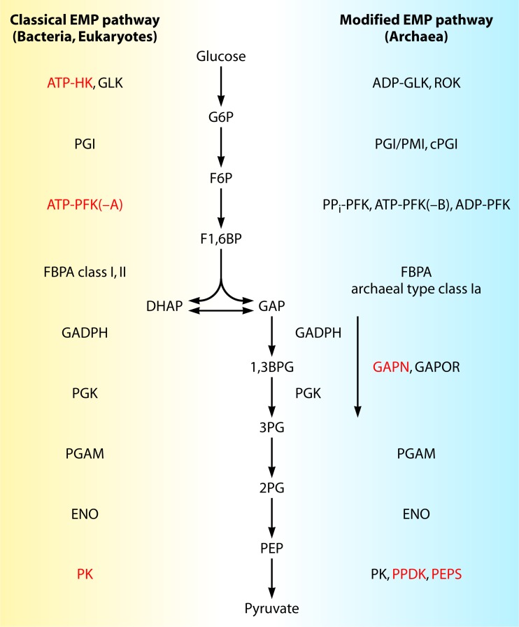 FIG 1