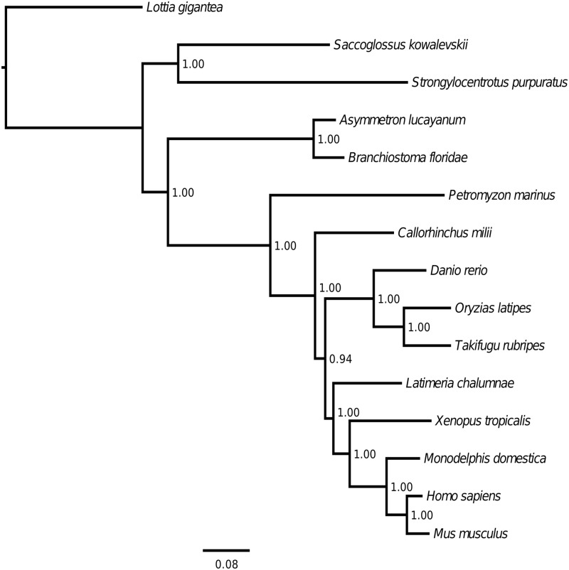 Fig. 2.—