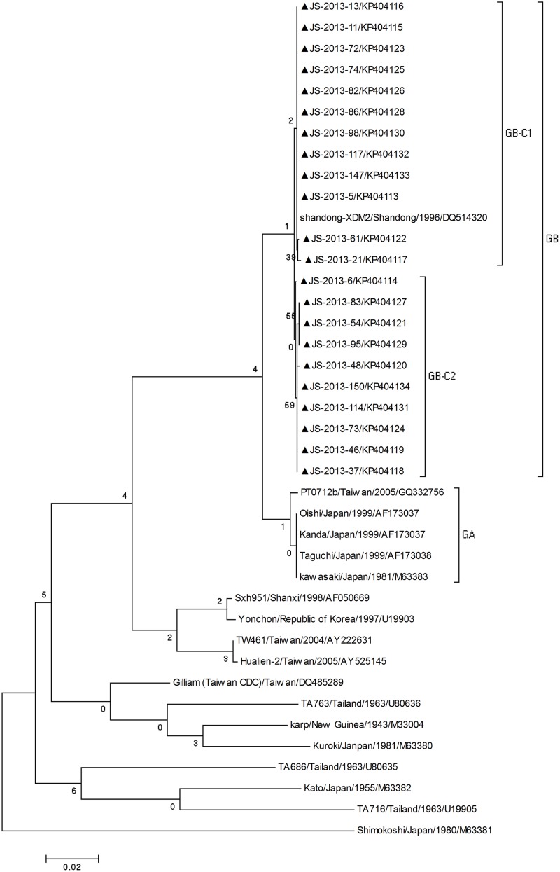 Fig 3