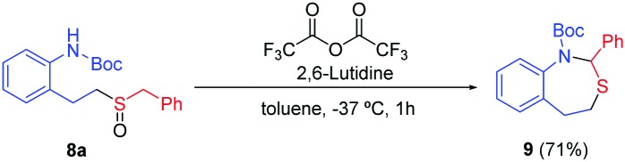 Scheme 5