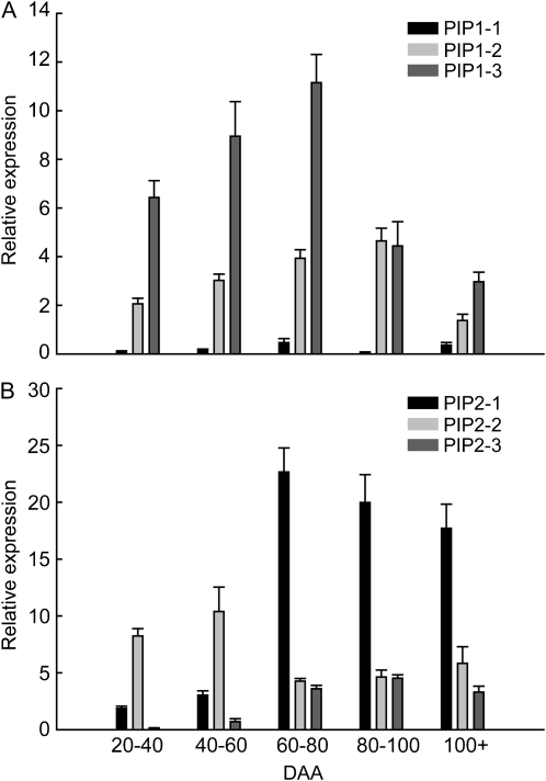 Figure 5.