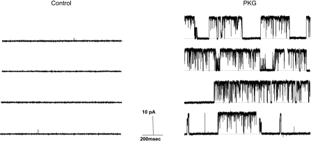 Fig. 6.