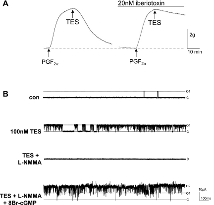 Fig. 1.