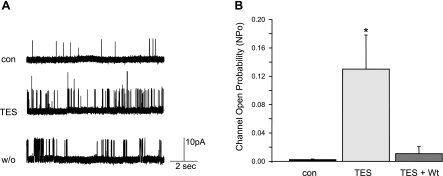 Fig. 3.