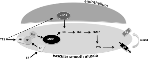 Fig. 7.