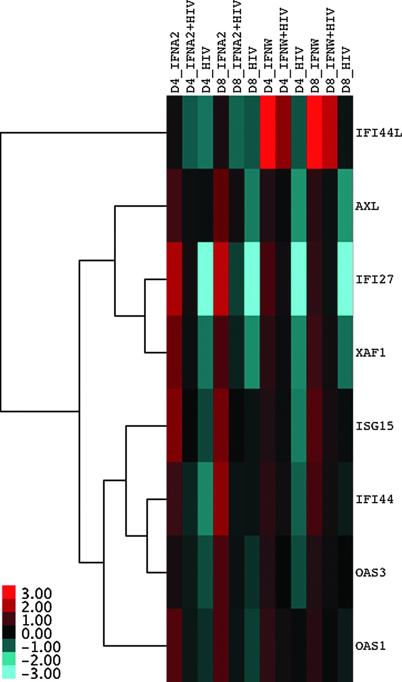 FIG. 2.