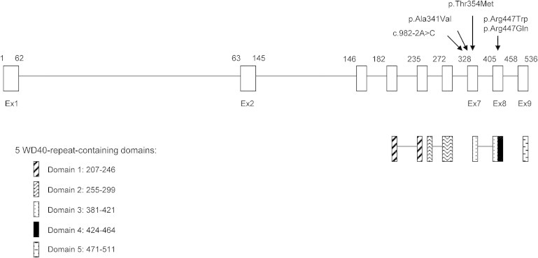 Figure 2