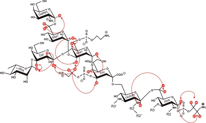 FIGURE 7.