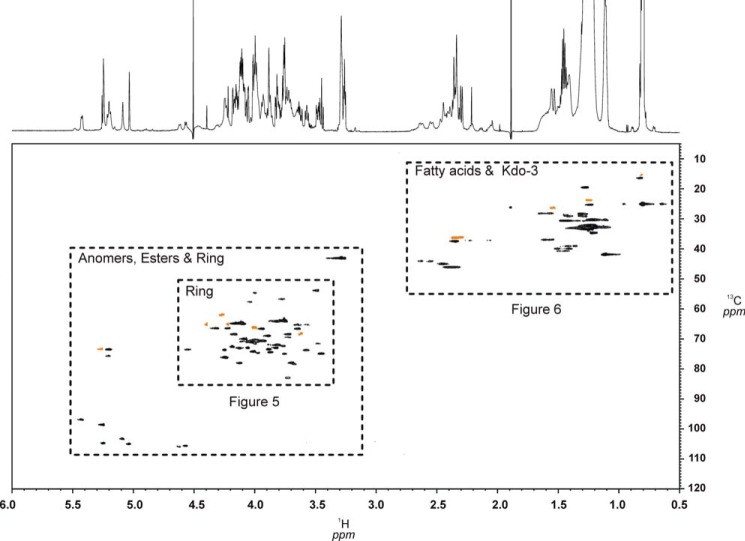 FIGURE 4.