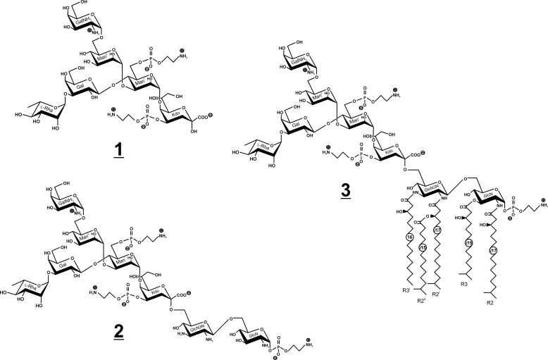 FIGURE 1.