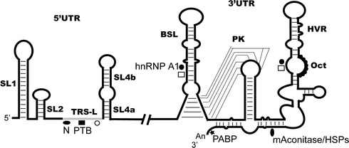 Fig. 4.1