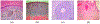 Fig. 3.
