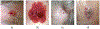Fig. 5.