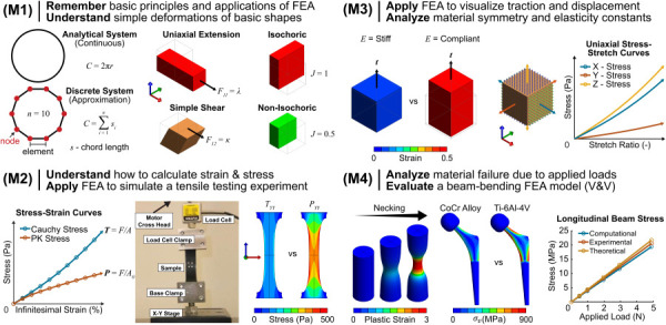 Summary of the four FEBio learning modules used in Biomechanics I laboratory exercises. (M1) Introduced students to basic FEA terminology (e.g., analytical versus discrete model) and its applications in biomechanics. Students constructed FEA models of simple deformations on a unit cube. (M2) Students focused on concepts of stress and strain, creation of a tensile test FEA model, interpretation of modeling idealizations/assumptions, and recognition of different stress measurements (Cauchy versus first Piola Kirchhoff). (M3) Students applied tractions and displacements and visualized the physical differences of elastic coefficients (e.g., Young's modulus, Poisson's ratio) and their effects on stress and strain. (M4) Students focused on concepts of material failure with various loads applied to geometries ranging from a simple rectangular beam to a prosthetic hip implant. Students performed a minor V&V study to evaluate a 1-point beam bending model.