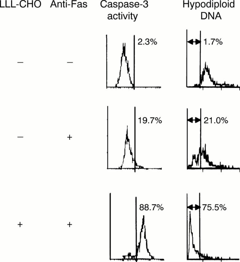 Figure 4  