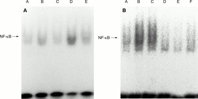 Figure 2  