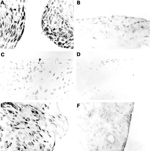 Figure 1  