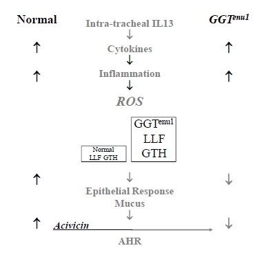 Fig. (2)