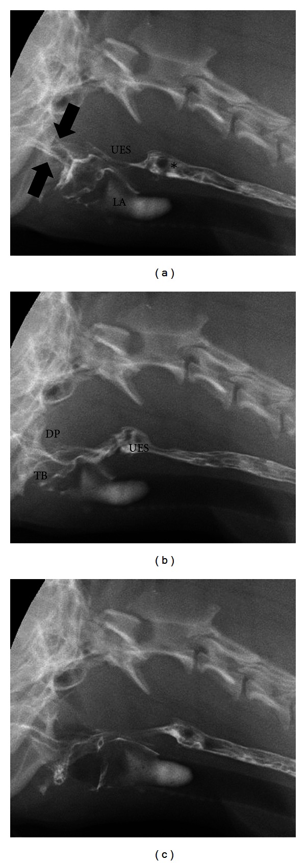 Figure 7