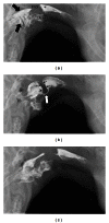 Figure 8