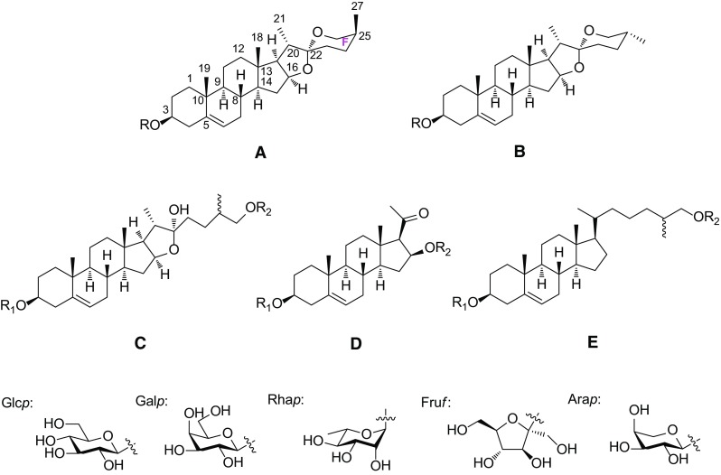 Fig. 1