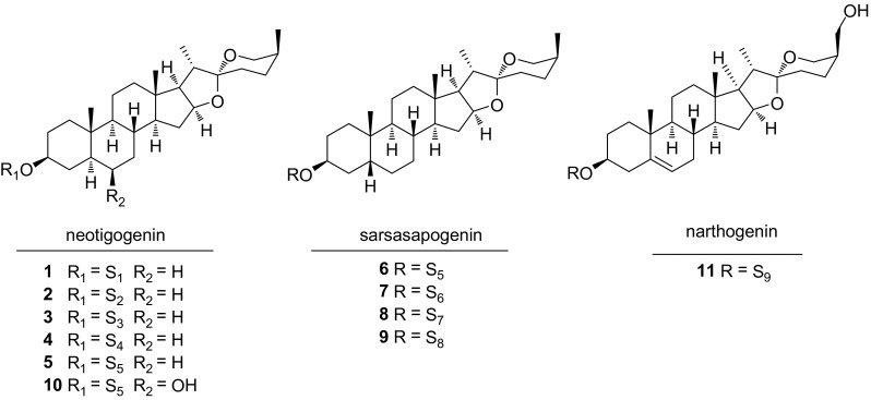 Fig. 2